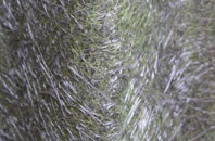 Hawkshead Hill fibreglass roof work